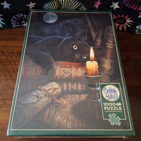 Cobble Hill The Witching Hour 1000 Pc Puzzle Challenging Dark Halloween Witchy - Picture 1 of 10